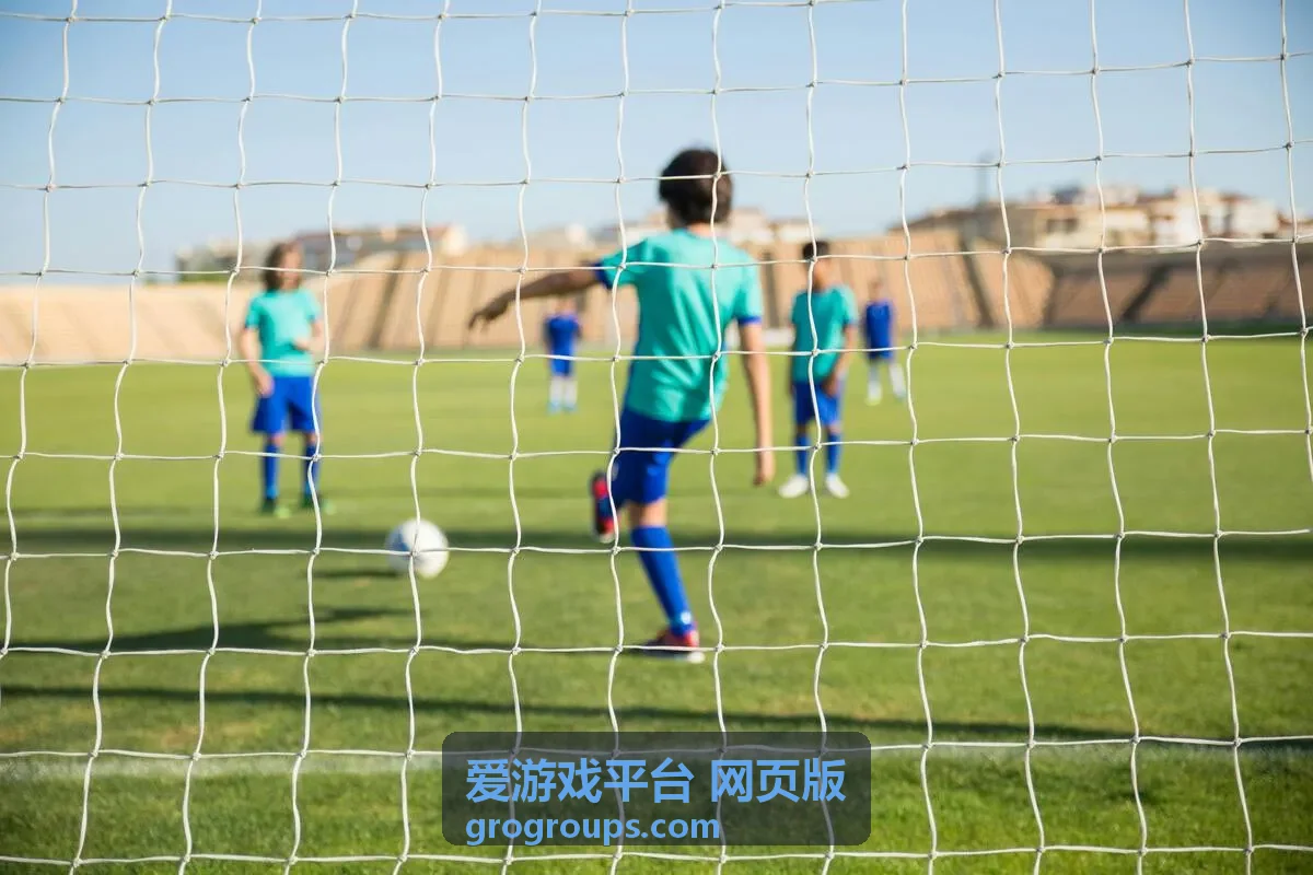 爱游戏平台网页版版本指南栏目示意图