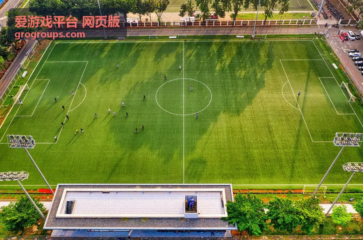 爱游戏平台网页版玩法操作说明配图